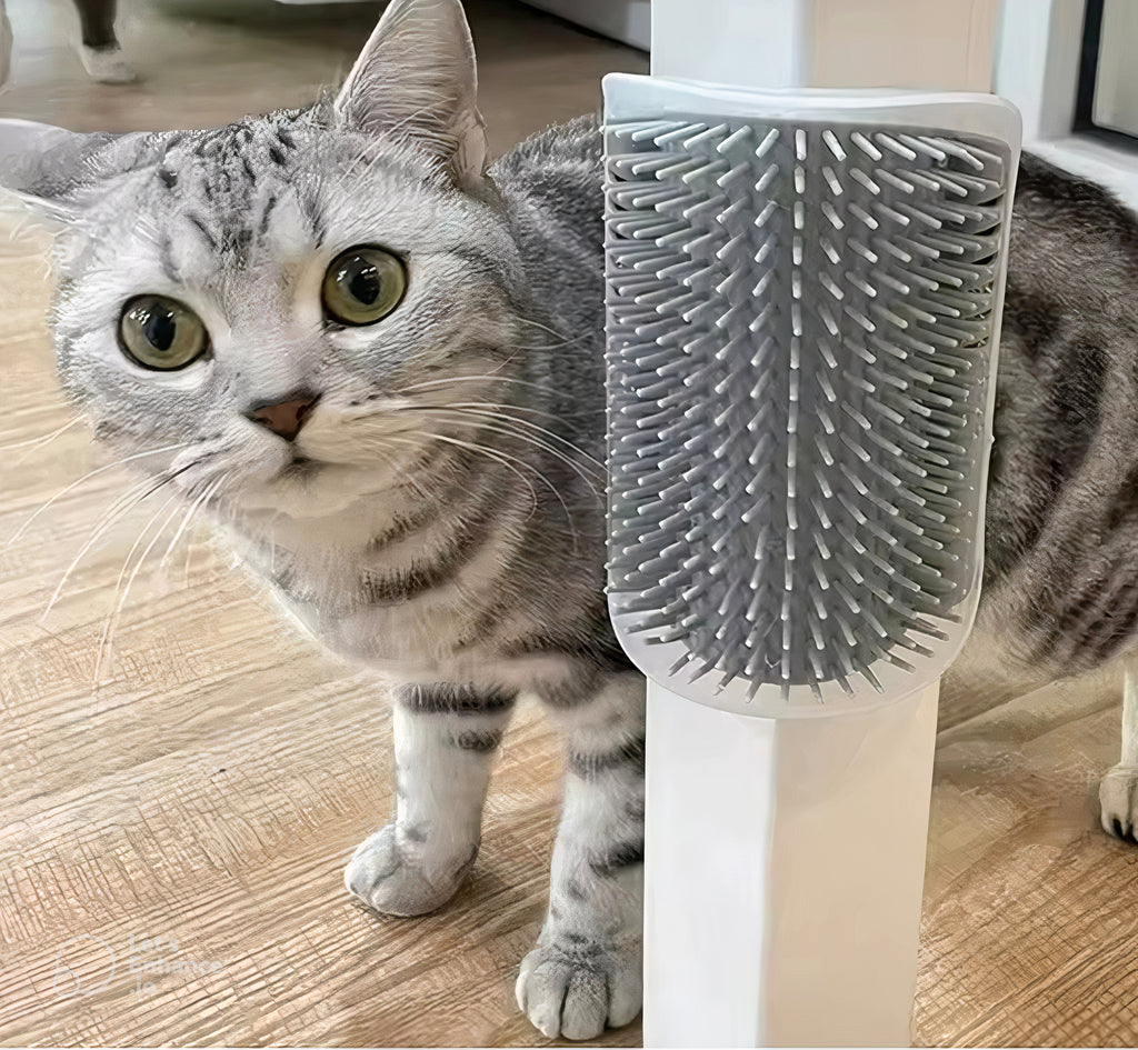 Escova para Gatos de Super Fixação | Massagem e Relaxamento (com Catnip)
