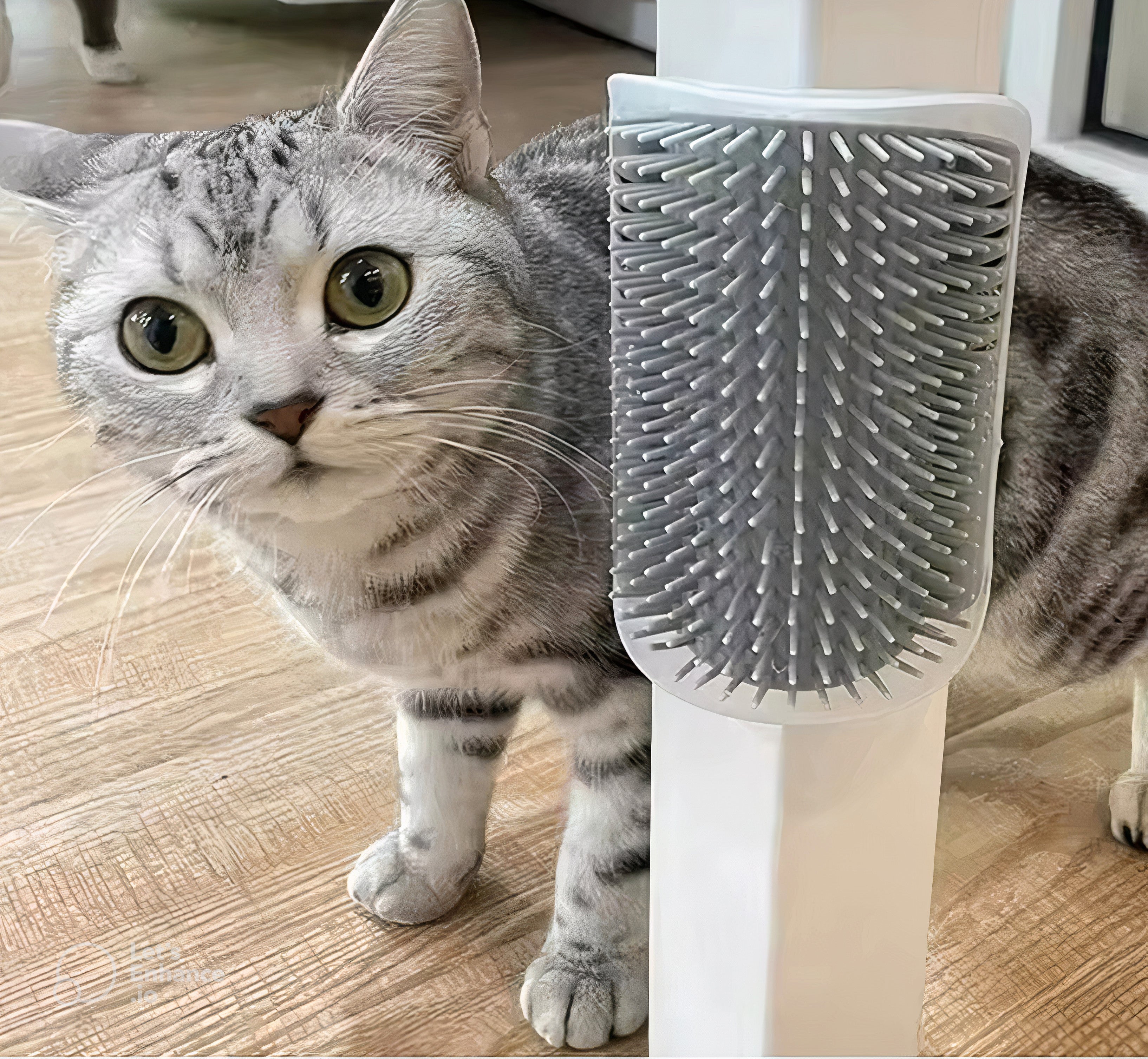 Escova para Gatos de Super Fixação | Massagem e Relaxamento (com Catnip)