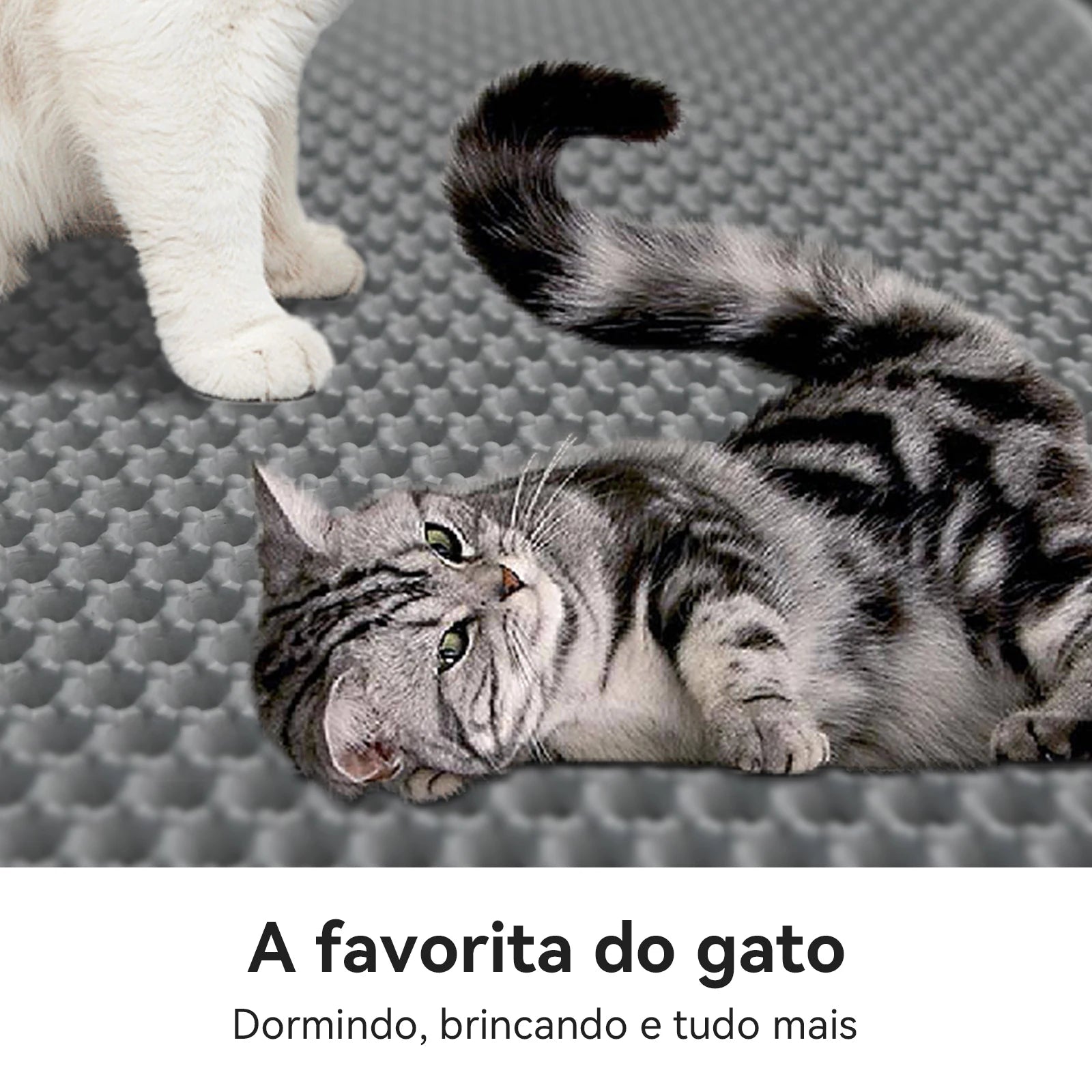 Tapete Inteligente Antiareia | Seu Gato Mais Limpo